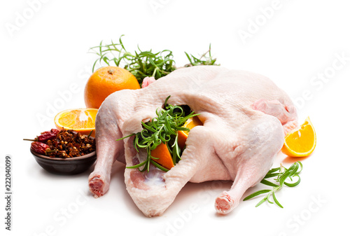 Raw whole duck stuffed with orange and rosemary isolated on white