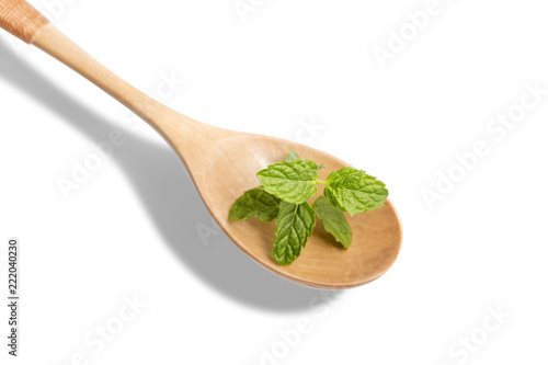 Peppermint aromatic herb for cooking and drinks. Fresh mint on white background