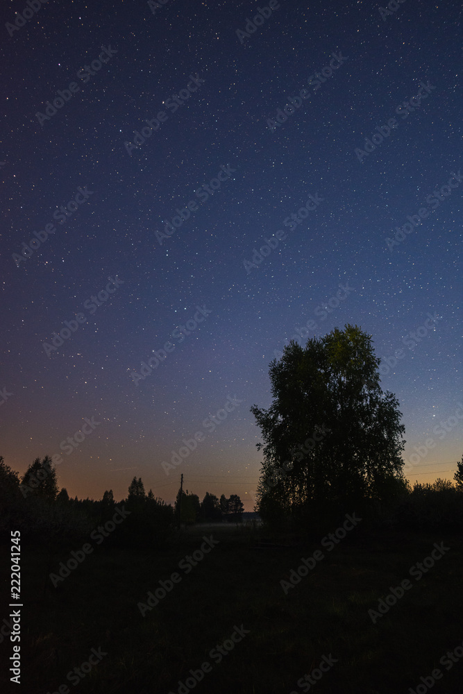Fototapeta premium Starry night