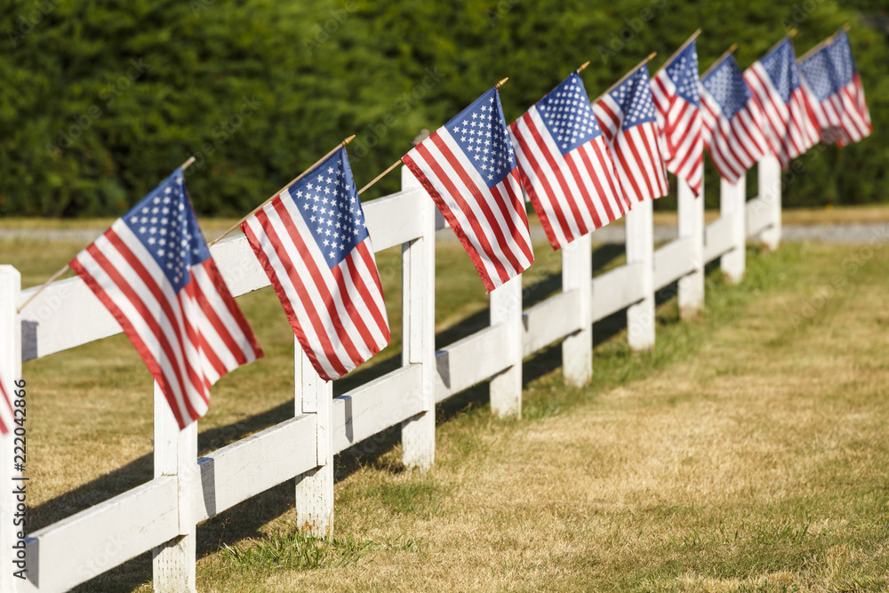 Patriotic display of American flags waving on white picket fence ...