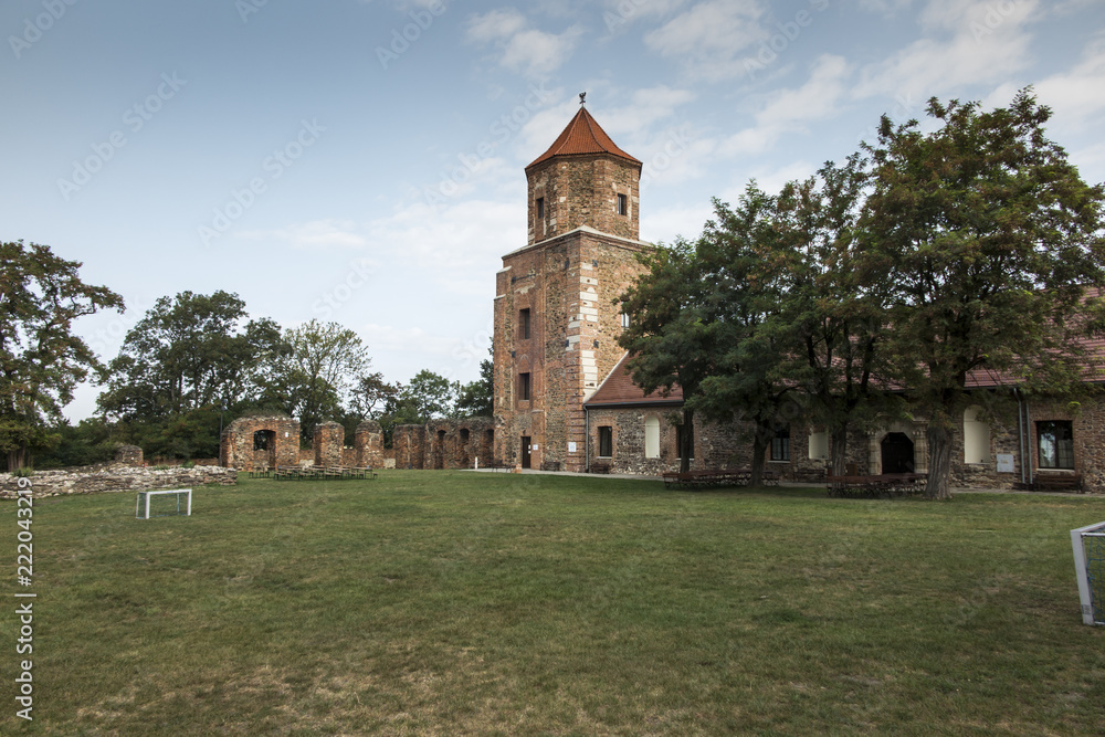 Old castle Toszek in Poland,