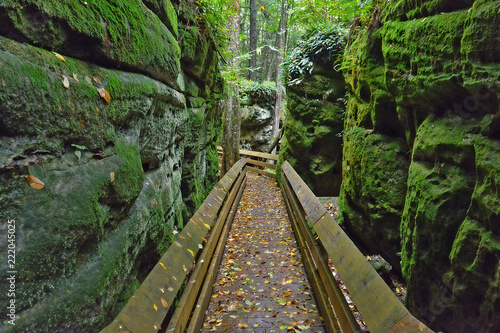 Moss Covered Boulders