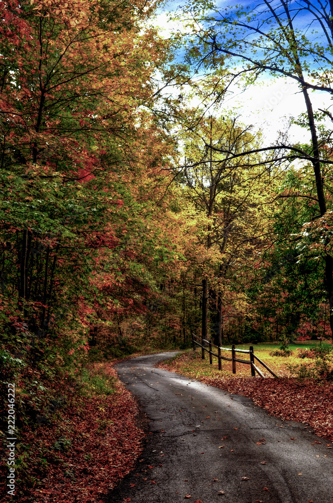 Old Path Road in Fall