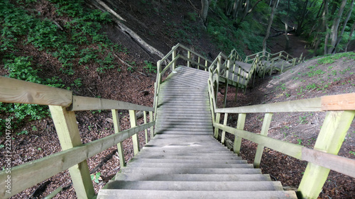 Sentiero attrezzato nel bosco