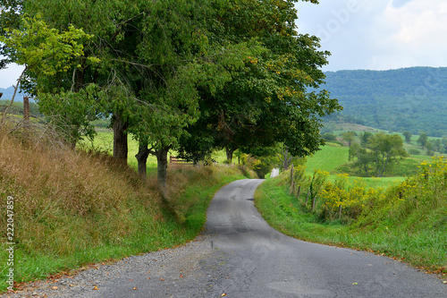 Winding Country Road photo