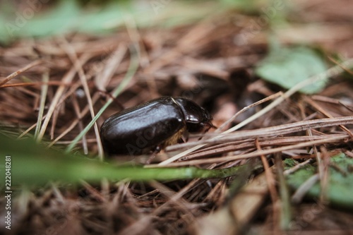 Processed with VSCO with a4 preset