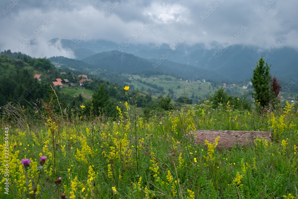 A view of the meadow with wild yellow flowers and tree log, with slopes if the hills covered with trees and scarce houses in the distance, with misty mountains and stormy clouds in the background