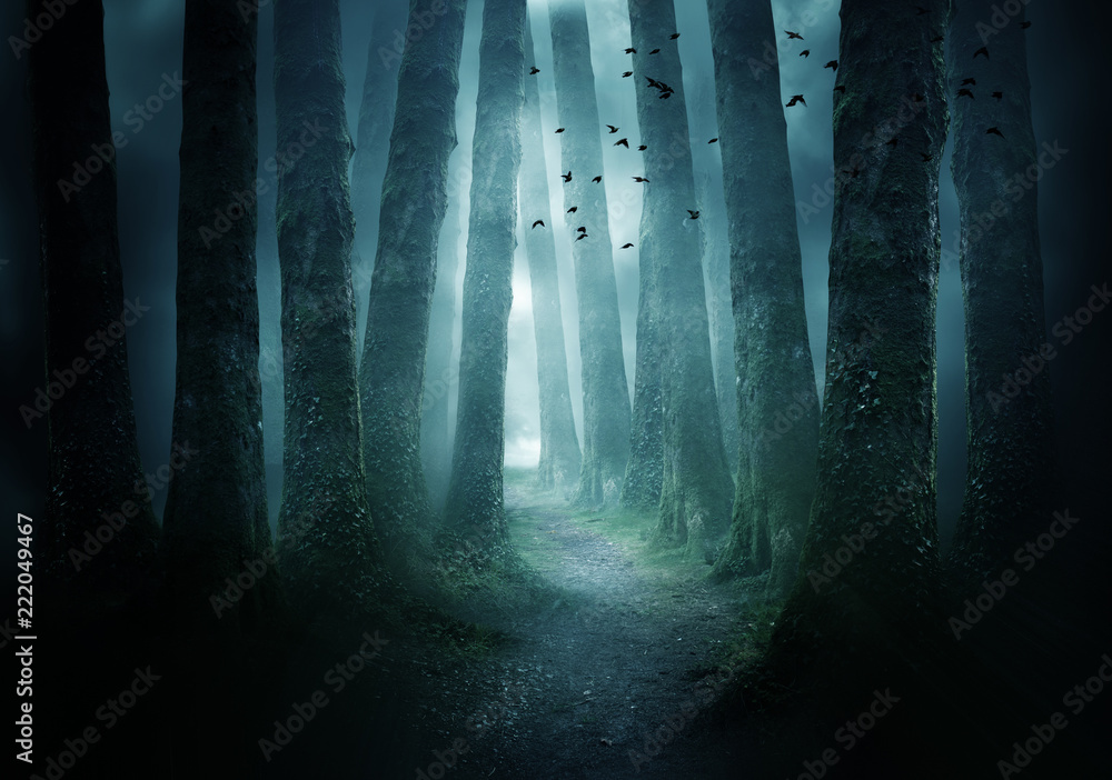 Pathway Through A Dark Forest Stock Photo