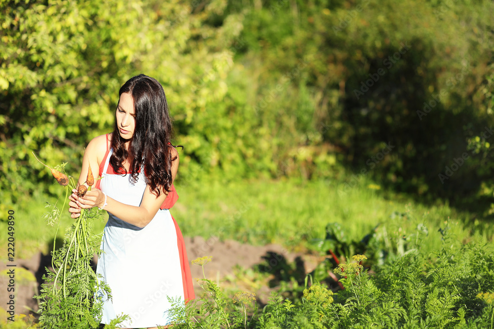 Girl with a harvest of vegetables in the garden Girl with a harvest of vegetables in the garden