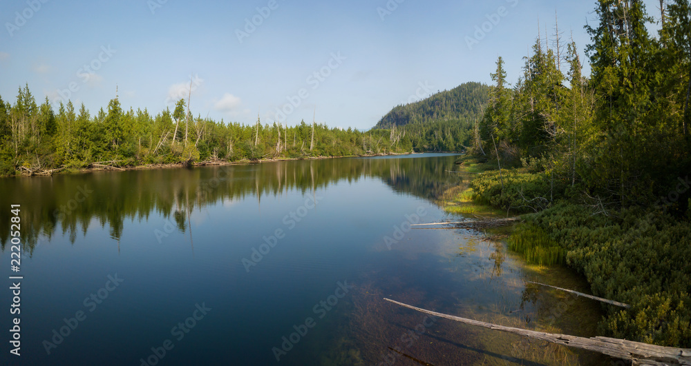 Aerial panoramic landscape view of a river near Kennedy Lake during a cloudy summer day. Taken near Tofino and Ucluelet, Vancouver Island, BC, Canada.