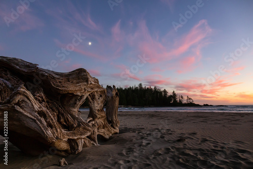 Beautiful sandy beach on the Pacific Ocean Coast during a vibrant summer sunset. Taken in Raft Cove Provincial Park  Northern Vancouver Island  BC  Canada.