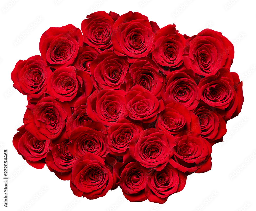 flower rose petal blossom red nature beautiful background flower rose petal blossom red nature beautiful background