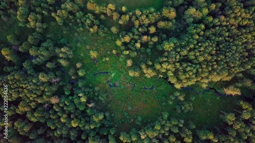 4k AERIAL: Top down view on small river in wild early autumnal forest. Polish landscape.