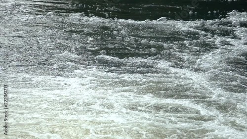 Wild Atantic Salmon jumps forward in a river, west coast of Norway photo