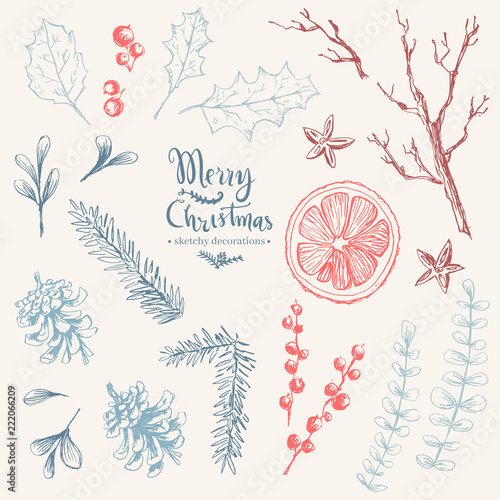 Vector hand drawn set of Christmas natural herbal elements. Mist
