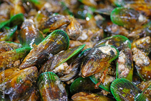 Quadro su tela Green lipped New Zealand mussels at the fish market