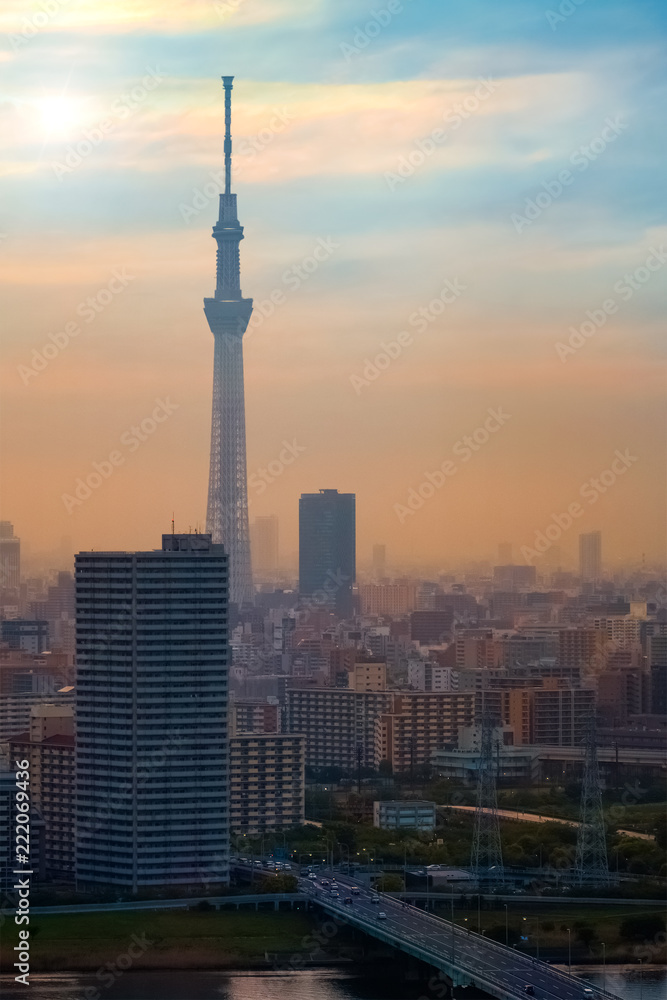 Tokyo, Japan - April 25 2018: Scenic view of the city of tokyo, the capital city of Japan