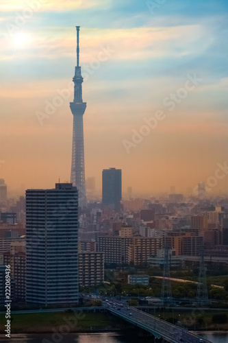 Tokyo, Japan - April 25 2018: Scenic view of the city of tokyo, the capital city of Japan © coward_lion