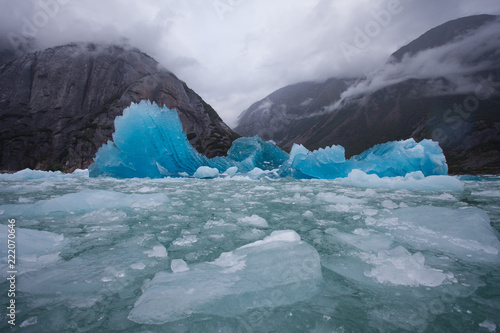 Deep blue glacial ice floating in a scenic fjord of Alaska