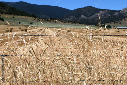 Mountain farm with bales photo