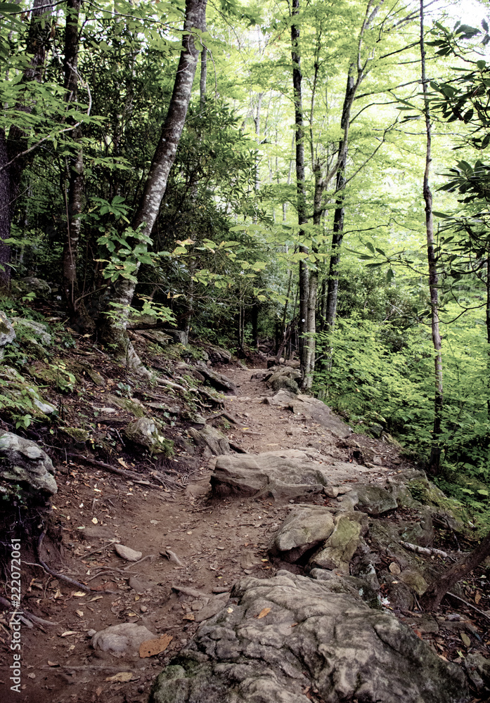 Fototapeta premium smoky mountains Asheville nc 
