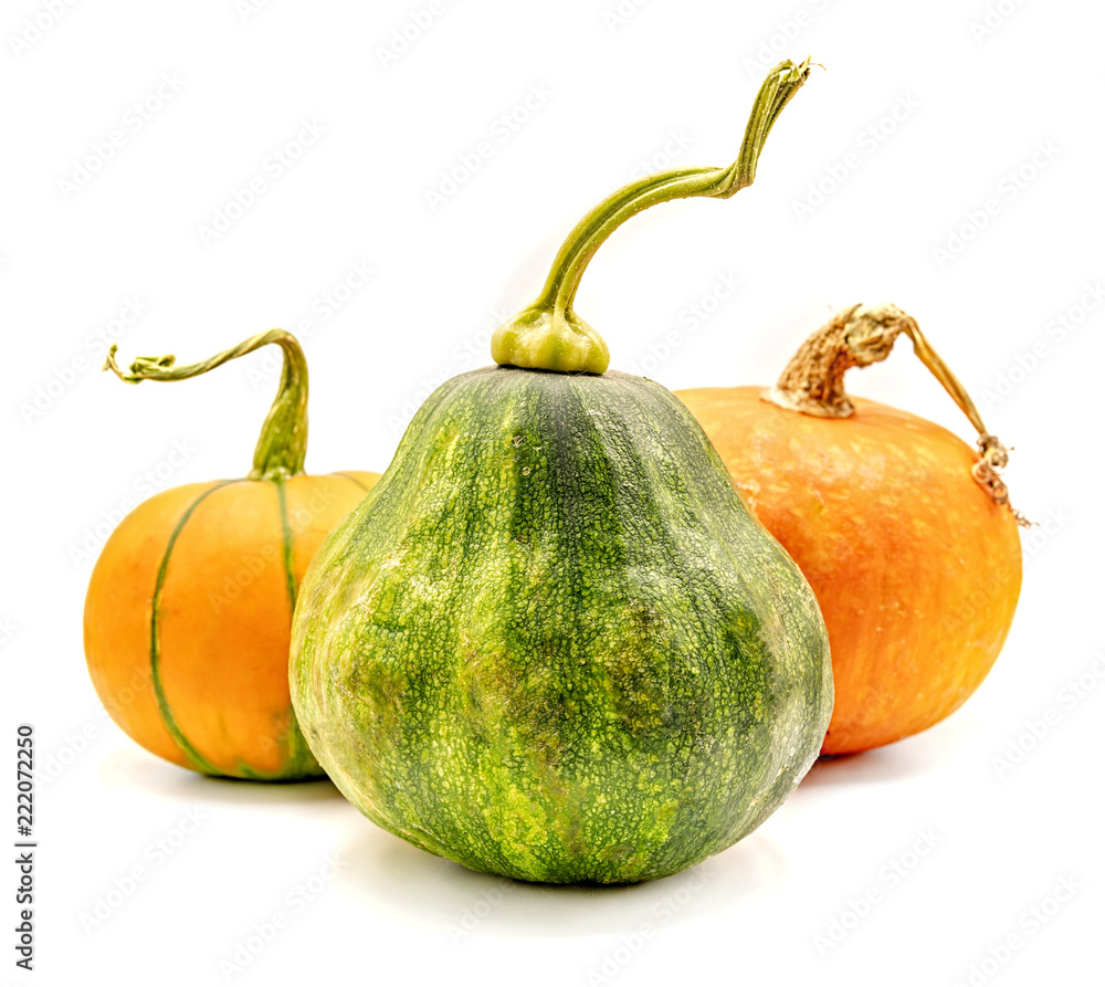set of orange and green pumpkins isolated on white set of orange and green pumpkins isolated on white