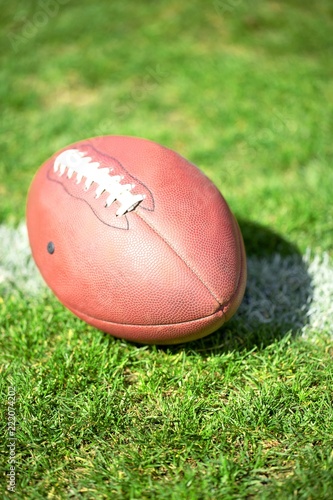 Football Ball On Chalk Line On Grass