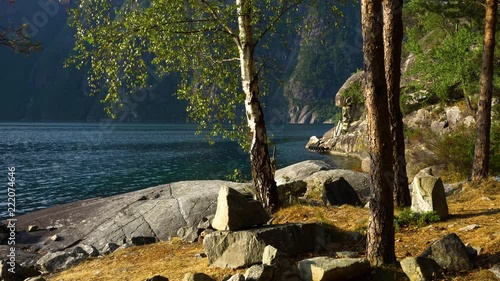 Morning at shore of norwegian fjord. photo