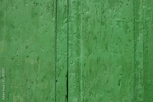 Green Painted Wooden Surface for Backgrounds