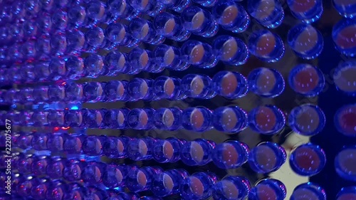 Close Up of Rows of LED Light Bulb Diodes photo