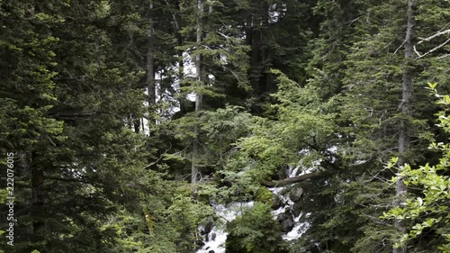 Tilt down shot of Uelhs deth Jo√®u waterfall through forest trees photo