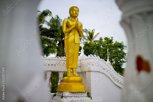 statue of buddha in thailand