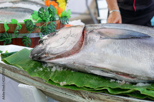 A Big Frozen Head Tuna fish on ice for sushi and sashimi