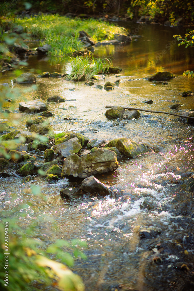 natural background: autumn landscape-forest stream with clear water in the sun natural background: autumn landscape-forest stream with clear water in the sun