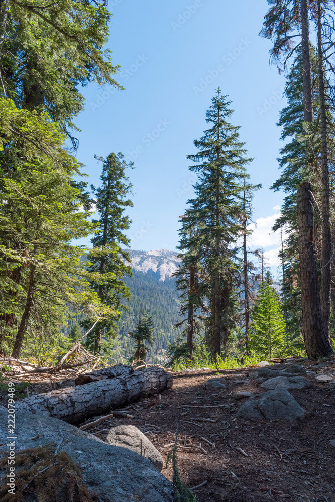 Mountain view in Sequoia National Park Mountain view in Sequoia National Park