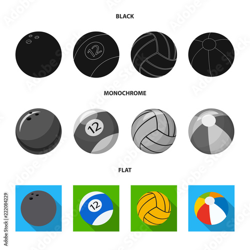 Isolated object of sport and ball symbol. Collection of sport and athletic stock symbol for web.