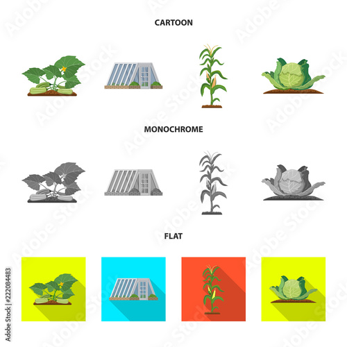 Vector illustration of greenhous and plant sign. Collection of greenhous and garden stock symbol for web.