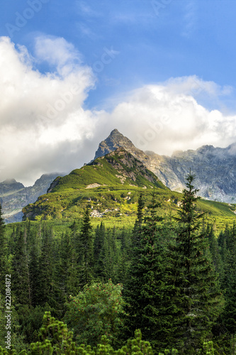 Fototapeta Naklejka Na Ścianę i Meble -  Polish Tatra mountains summer landscape with blue sky and white clouds. HDR image