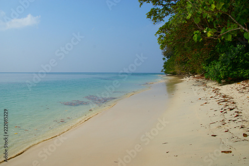 Fototapeta Naklejka Na Ścianę i Meble -  tropical beach. Andaman Islands. beach number 7. Havelock Island