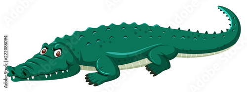 large green crocodile white background © brgfx