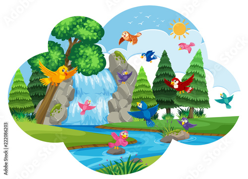 Birds flying in nature scene
