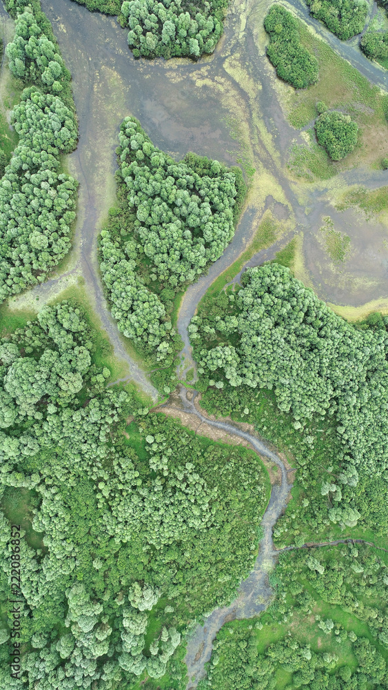 Aerial landscape from the drone - river delta