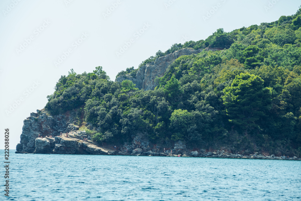 Beautiful seascape and trees