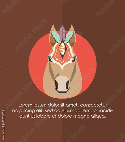 circus horse carnival festival decorated accessories
