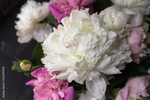 Peonies bouquet on black background photo