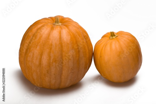 Two Large Pumpkins © BillionPhotos.com
