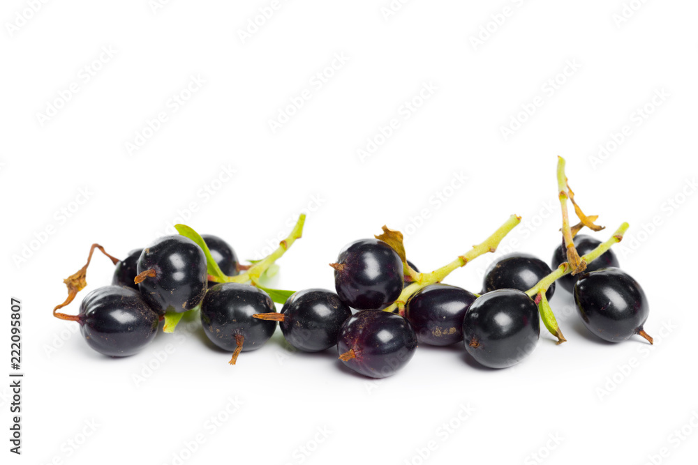 Berries black currant with green leaf. Fresh fruit, isolated on white background. Berries black currant with green leaf. Fresh fruit, isolated on white background.