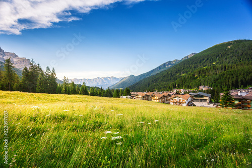 Fototapeta Naklejka Na Ścianę i Meble -  Alpine meadows in San Martino di Castrozza