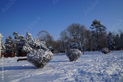 snow in crazy town Beloreshensk