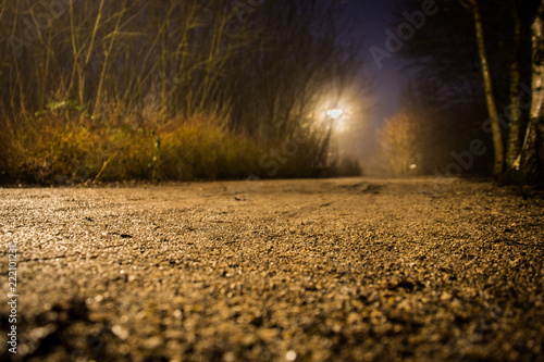 Einsamer Waldweg
